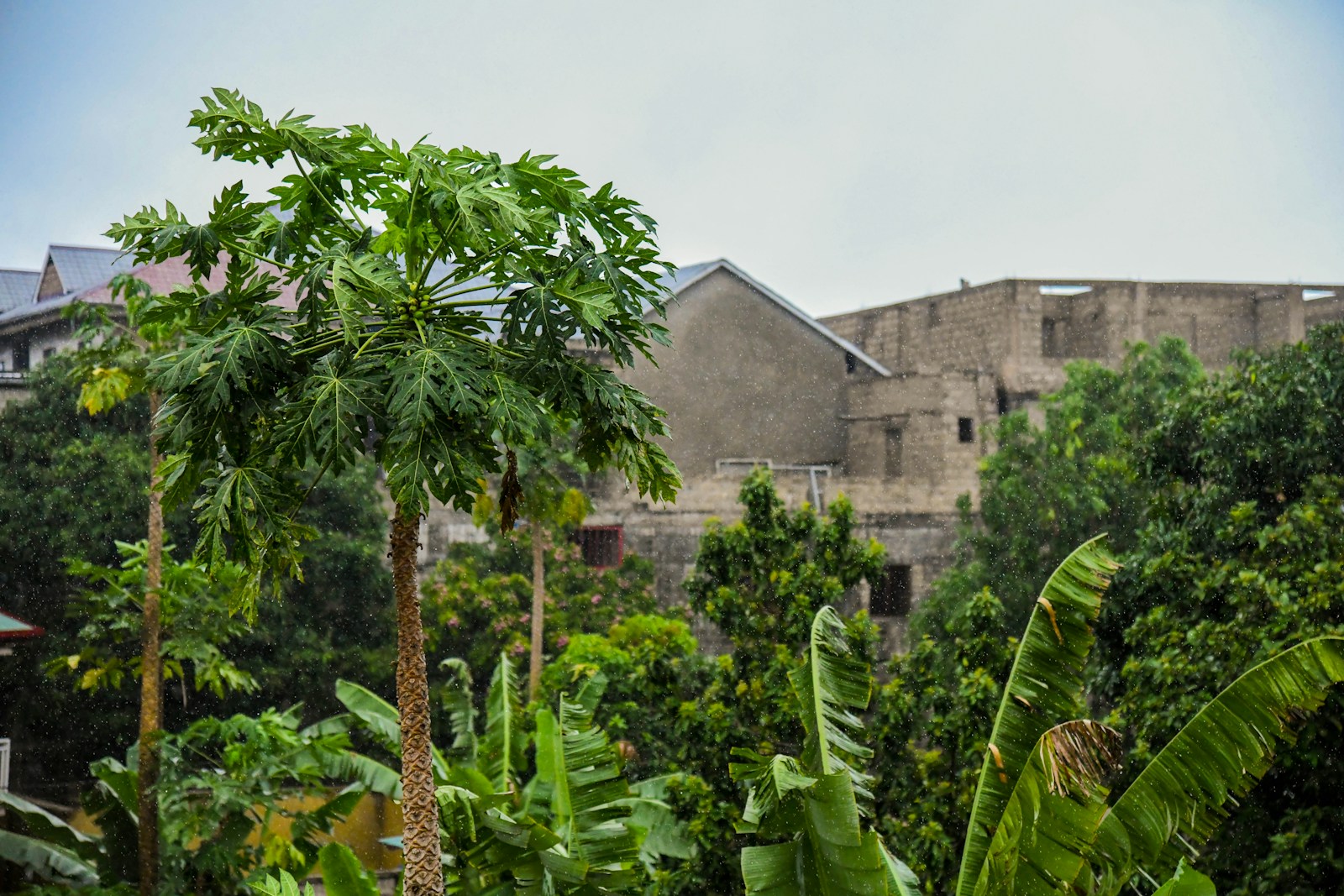 Eastern DRC Kinshasa M23