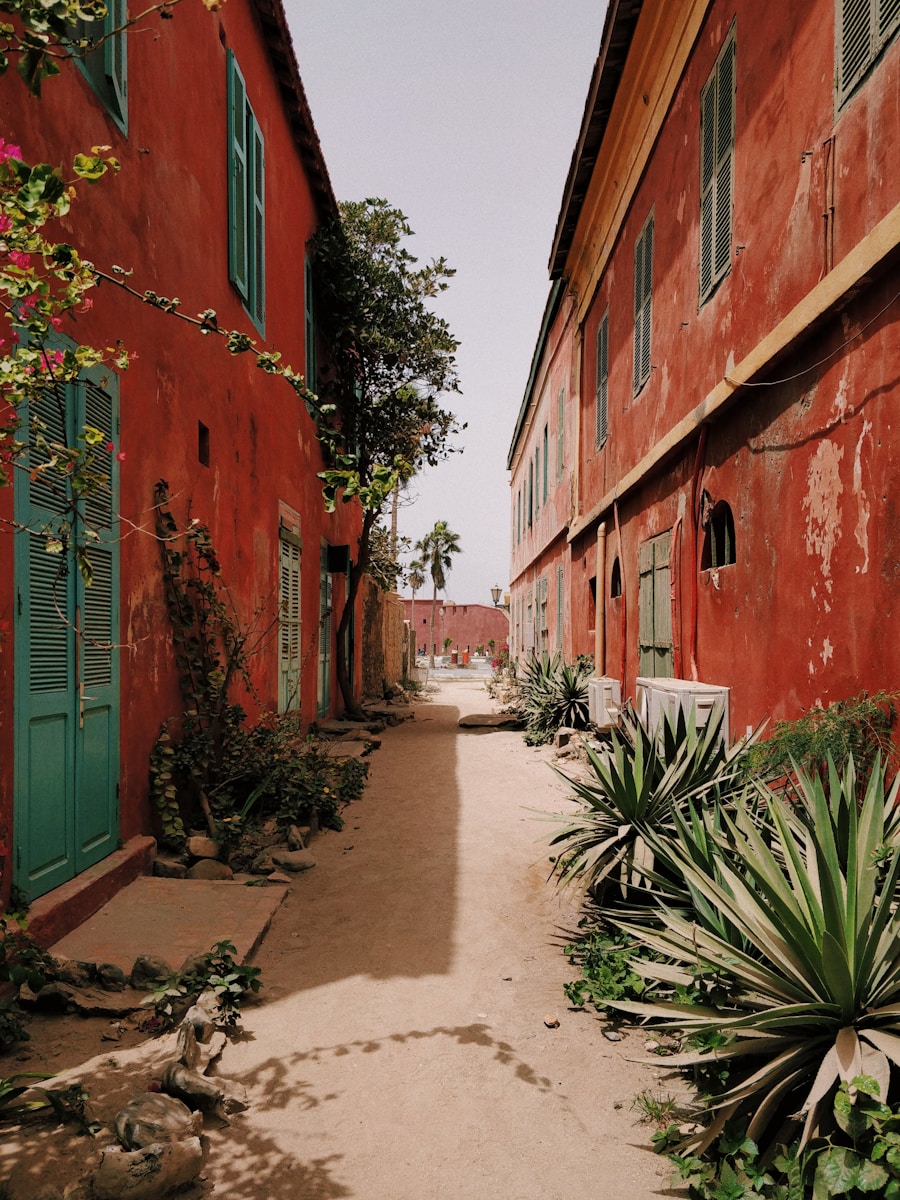 Dakar Dias