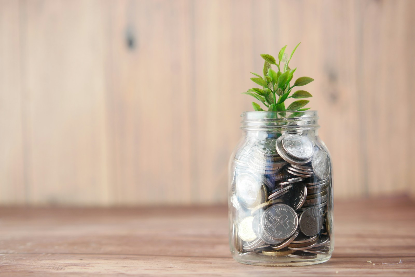 Investment Agrifood