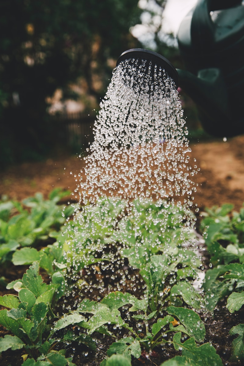 Agriculture irrigation climate