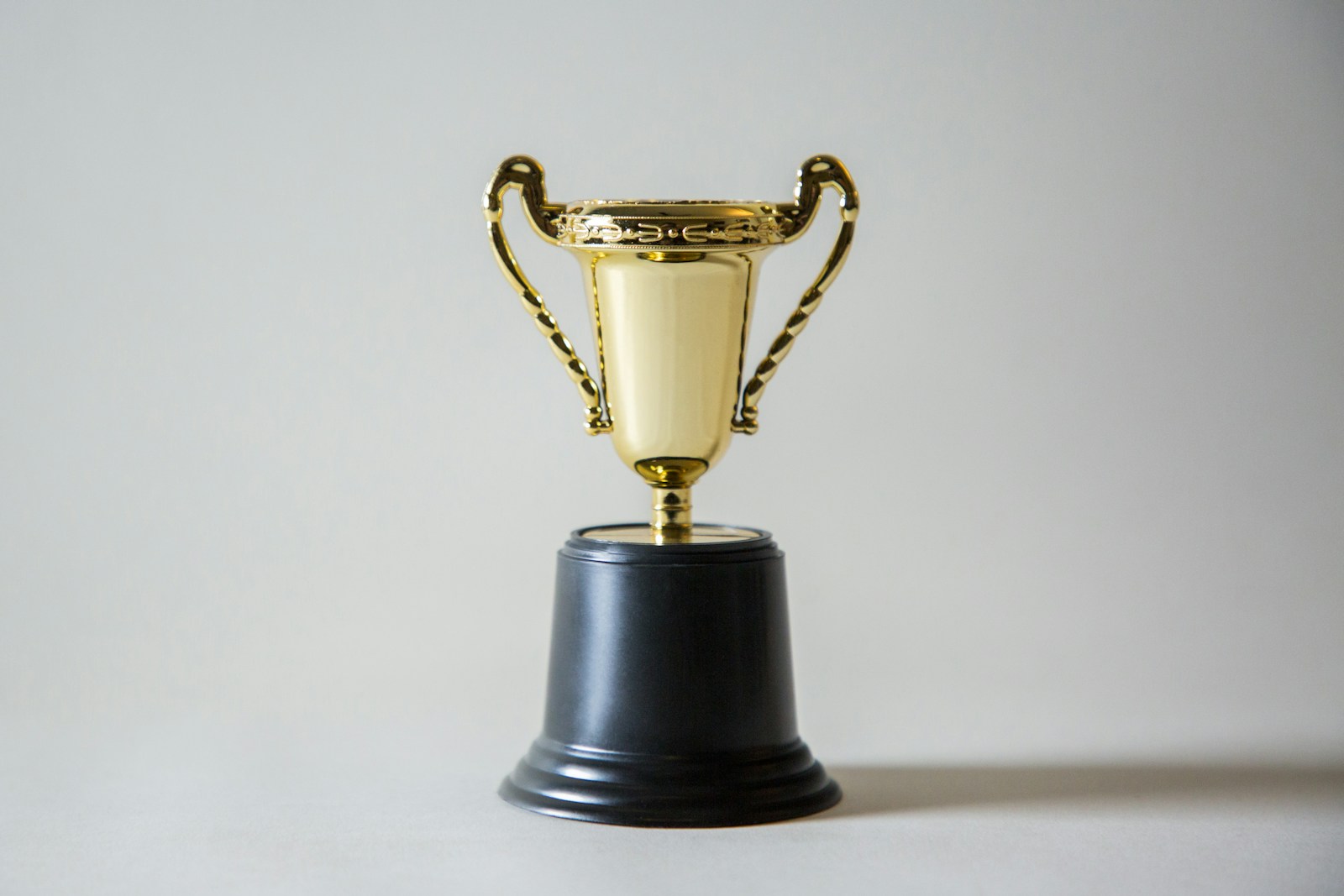 Global Citizen Waislitz Award