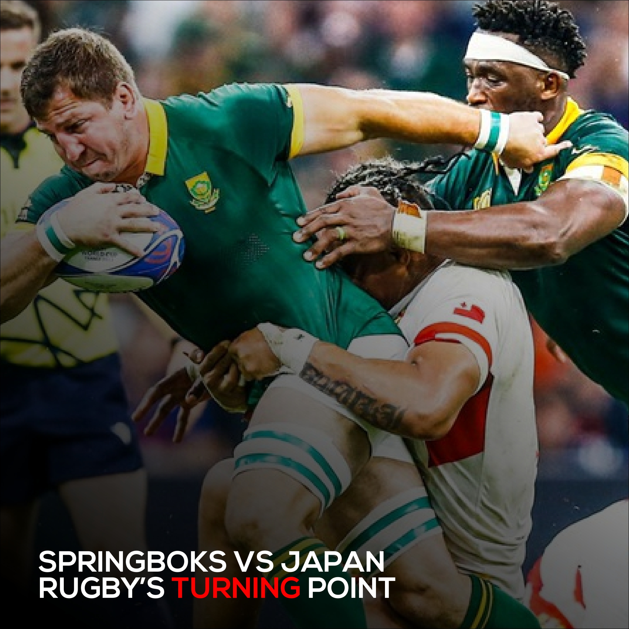 Springboks Japan Shock