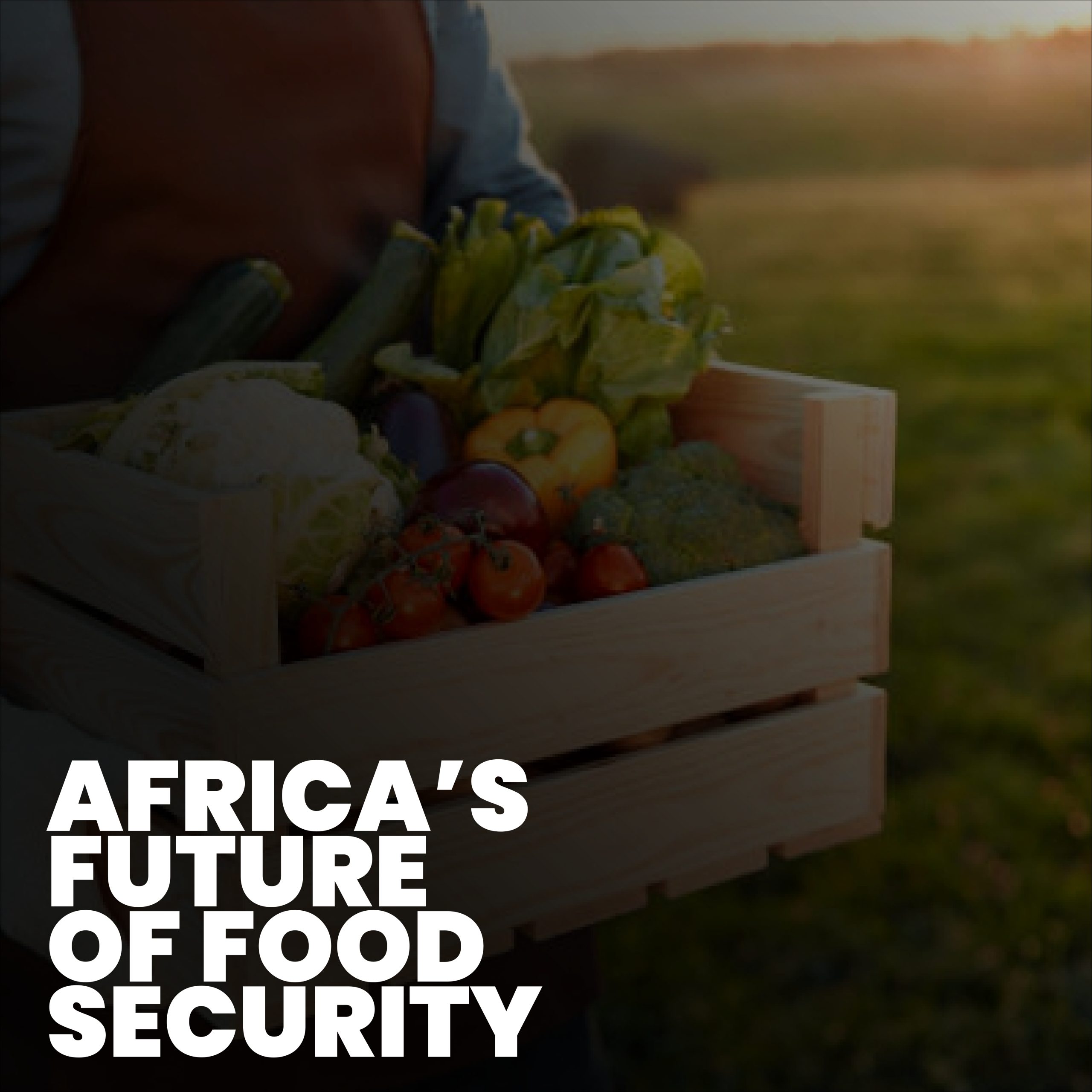 Africa Food Security