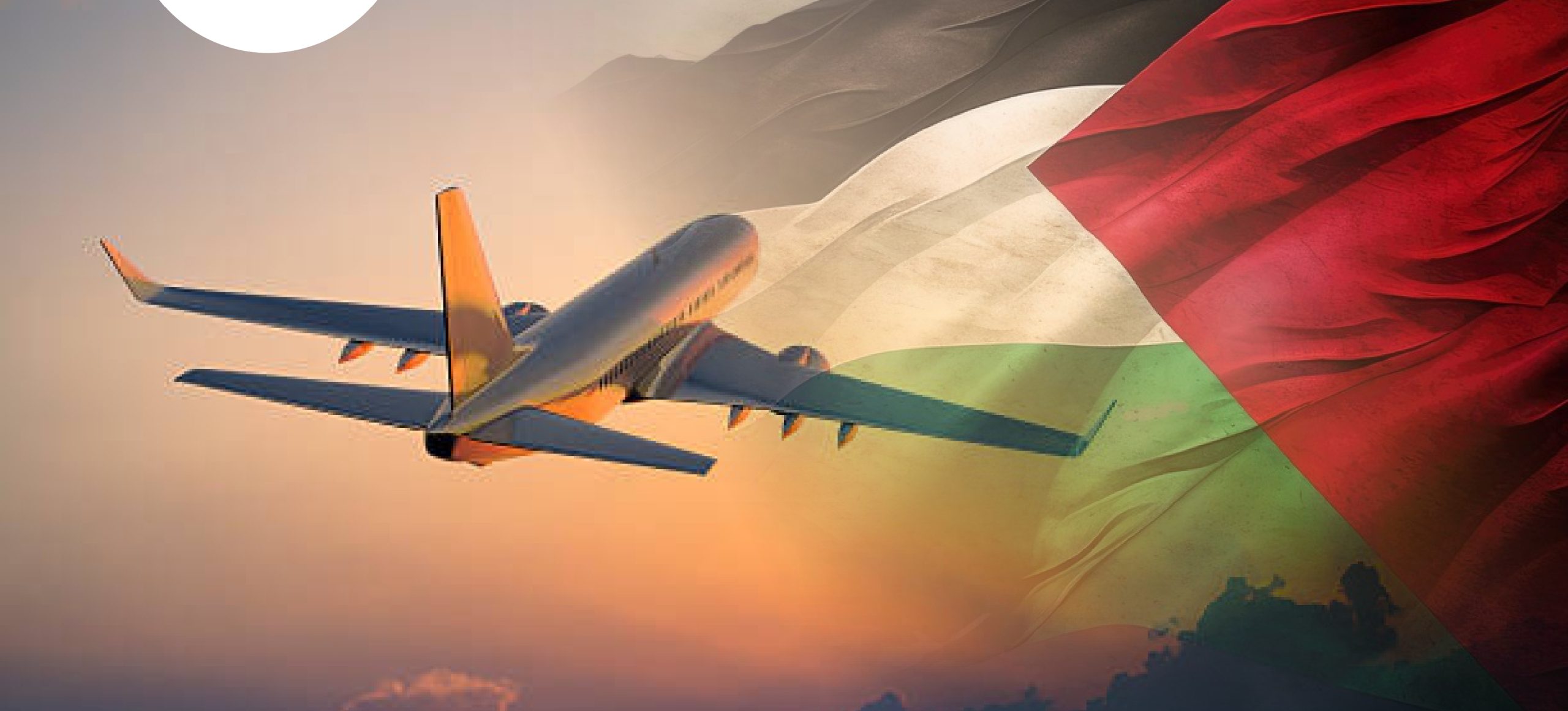 Palestinian flights