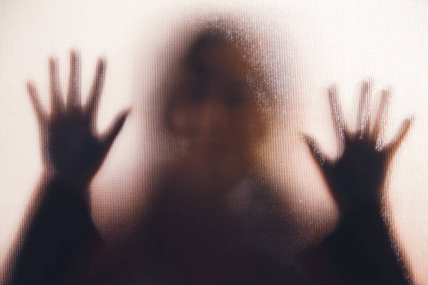 Limpopo Rape Suspect Arrested